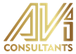 Avi Consultants